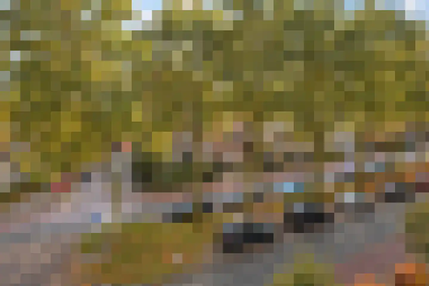 Apeldoornseweg 38 Arnhem thumbnail 35