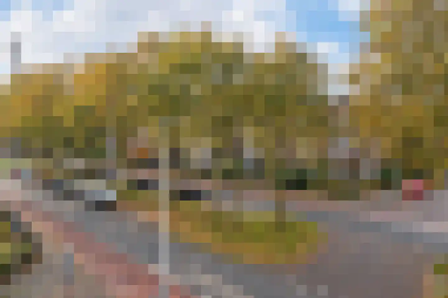 Apeldoornseweg 38 Arnhem thumbnail 36