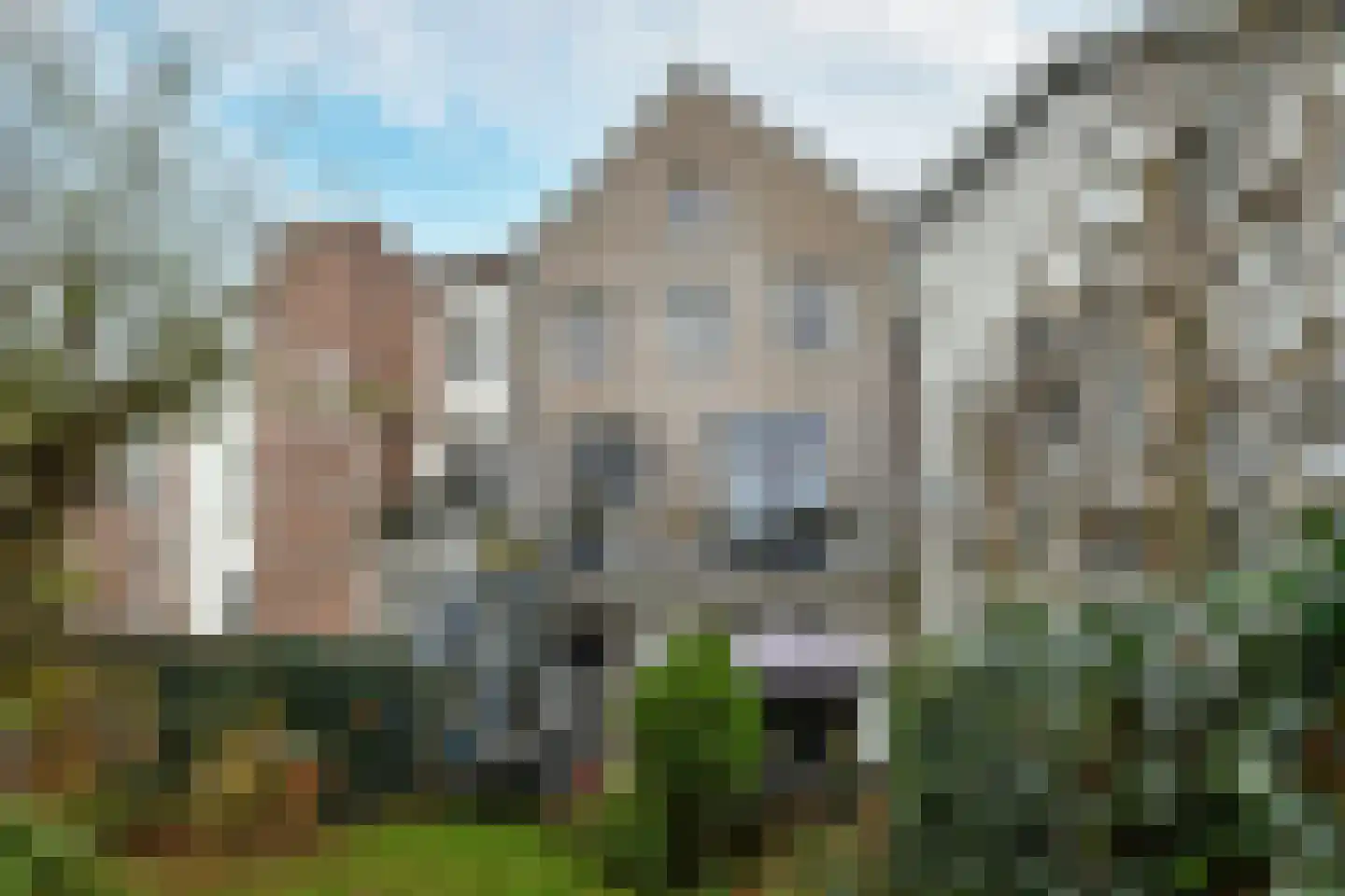 Apeldoornseweg 38 Arnhem thumbnail 43
