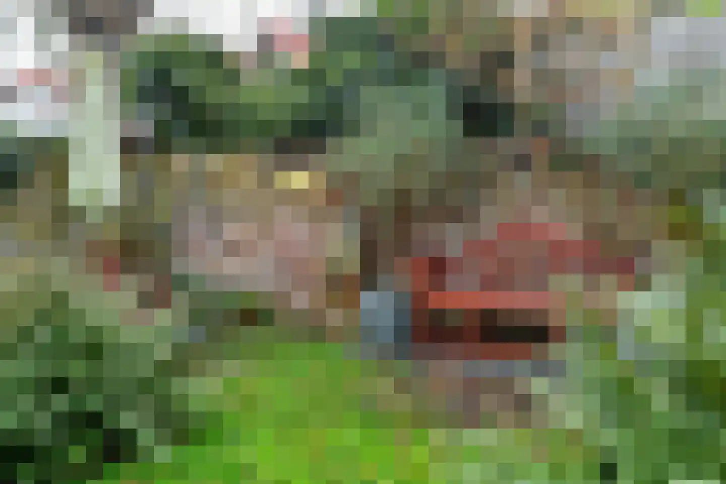 Apeldoornseweg 38 Arnhem thumbnail 46