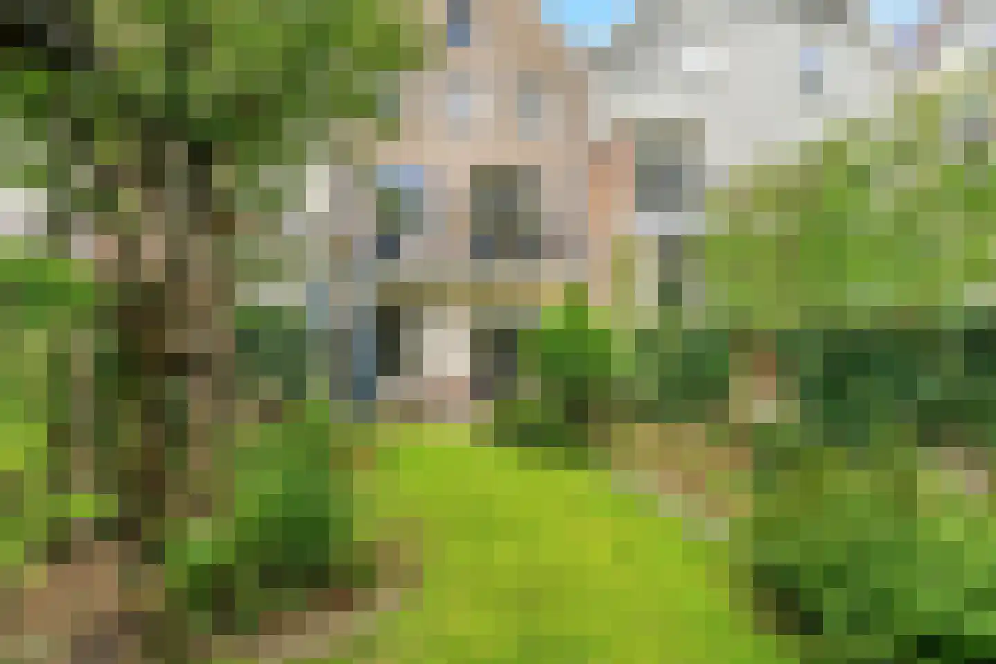 Apeldoornseweg 38 Arnhem thumbnail 49