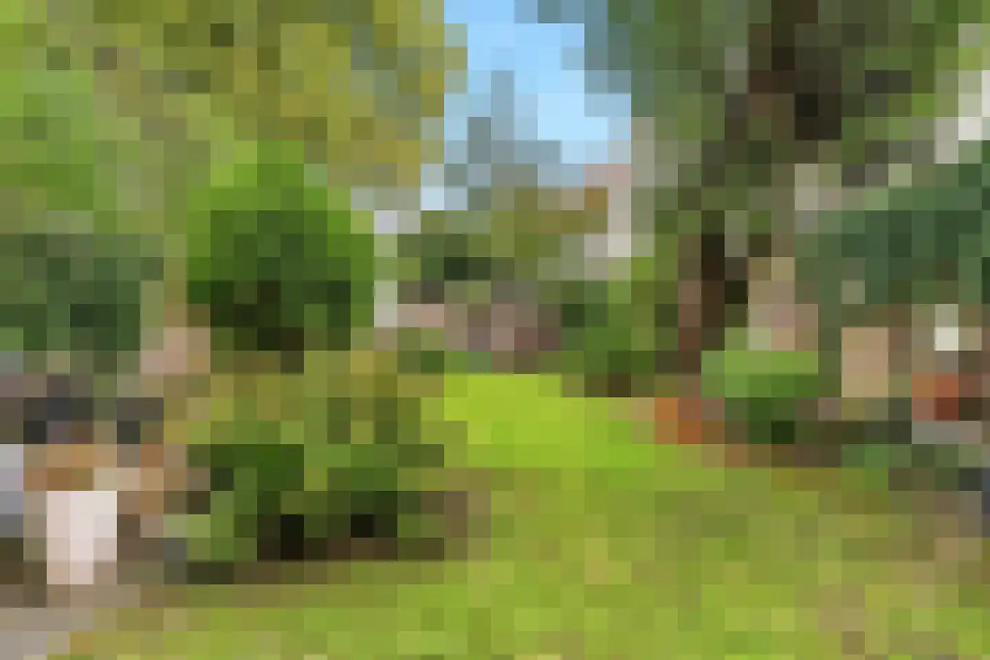 Apeldoornseweg 38 Arnhem thumbnail 5