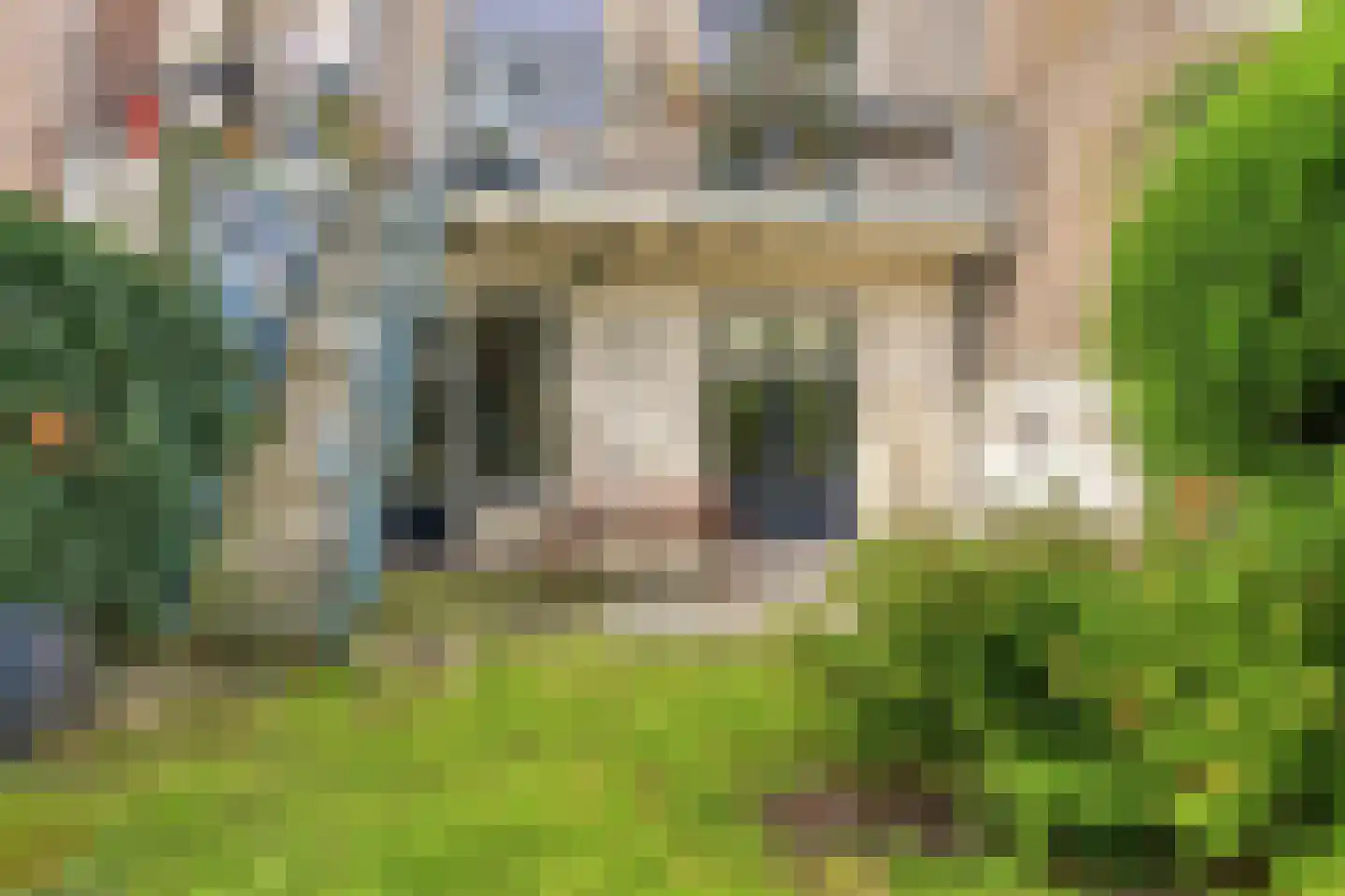 Apeldoornseweg 38 Arnhem thumbnail 50