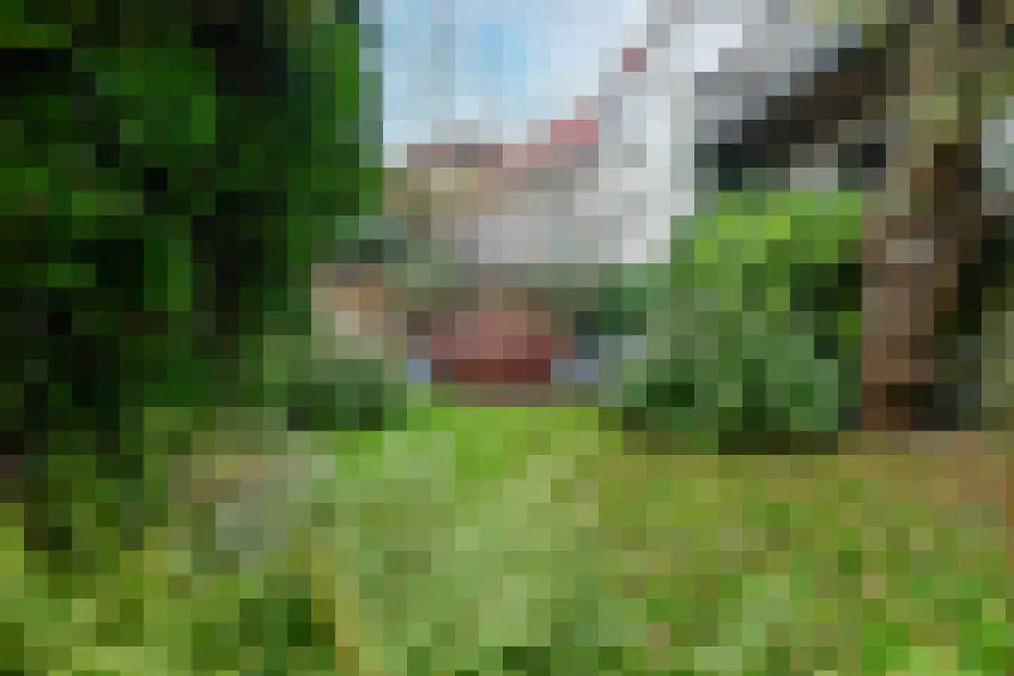 Apeldoornseweg 38 Arnhem thumbnail 52