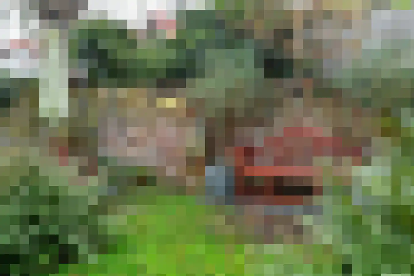 Apeldoornseweg 38 Arnhem thumbnail 53