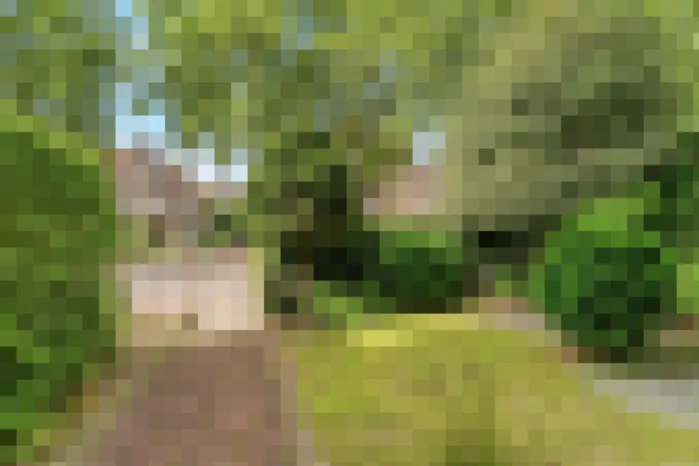 Apeldoornseweg 38 Arnhem thumbnail 54