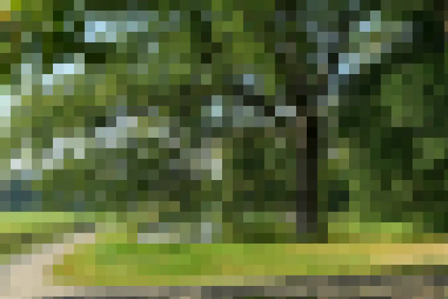 Apeldoornseweg 38 Arnhem thumbnail 55