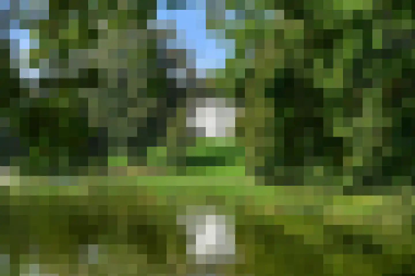 Apeldoornseweg 38 Arnhem thumbnail 58