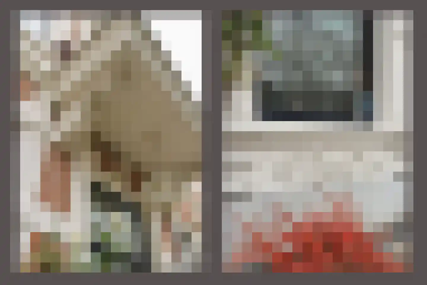 Apeldoornseweg 38 Arnhem thumbnail 8