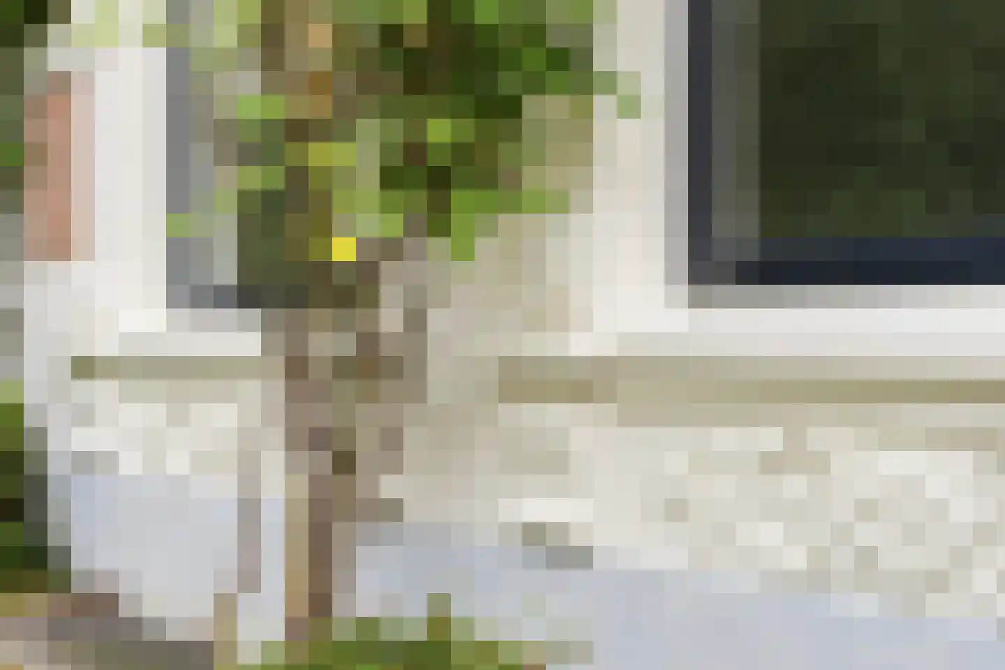 Apeldoornseweg 38 Arnhem thumbnail 9