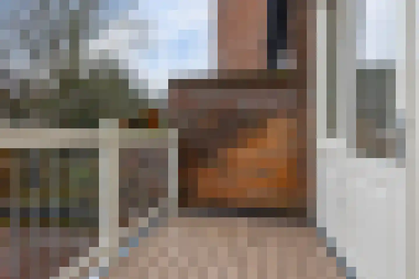 Apeldoornseweg 39 Arnhem thumbnail 14