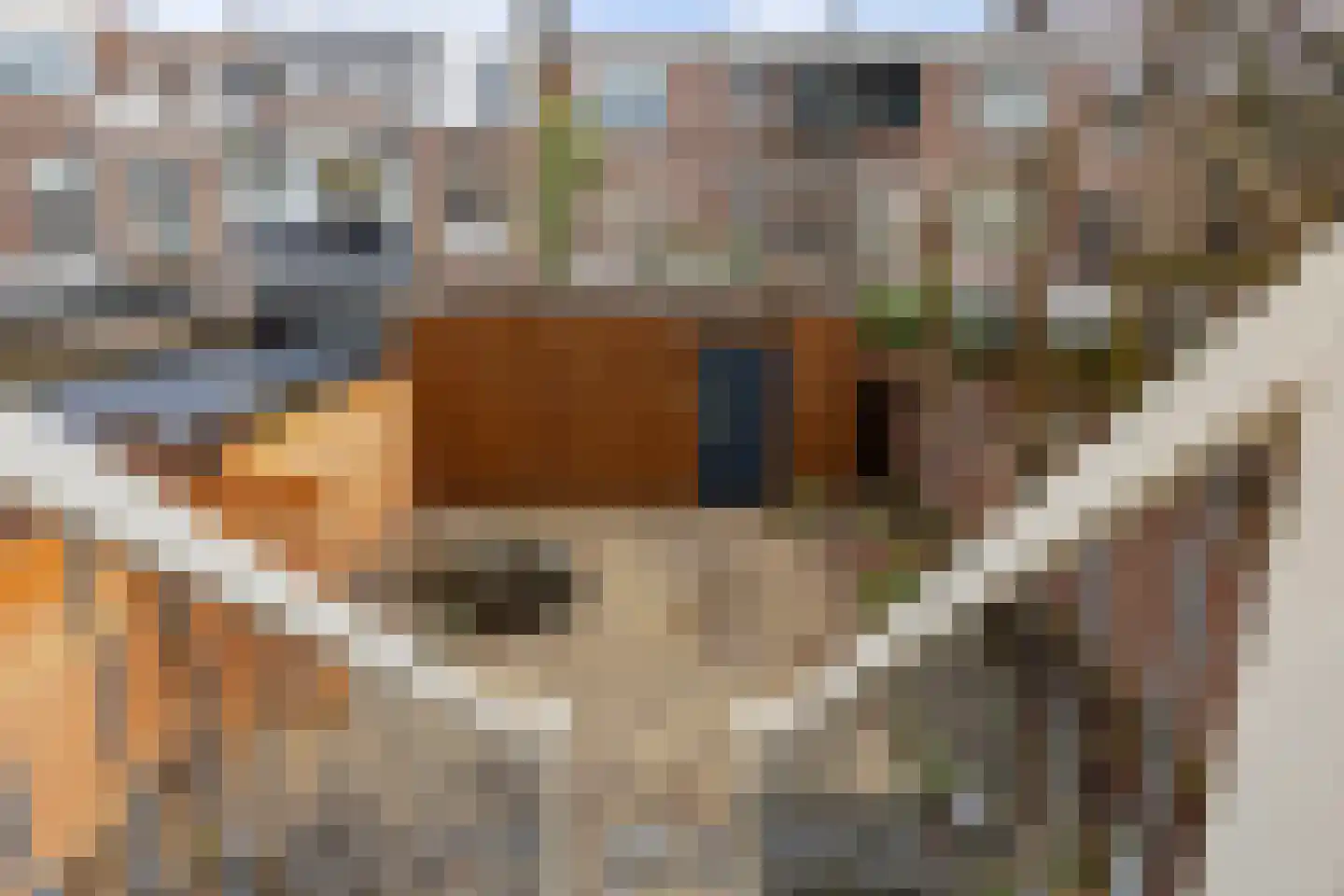 Apeldoornseweg 39 Arnhem thumbnail 15