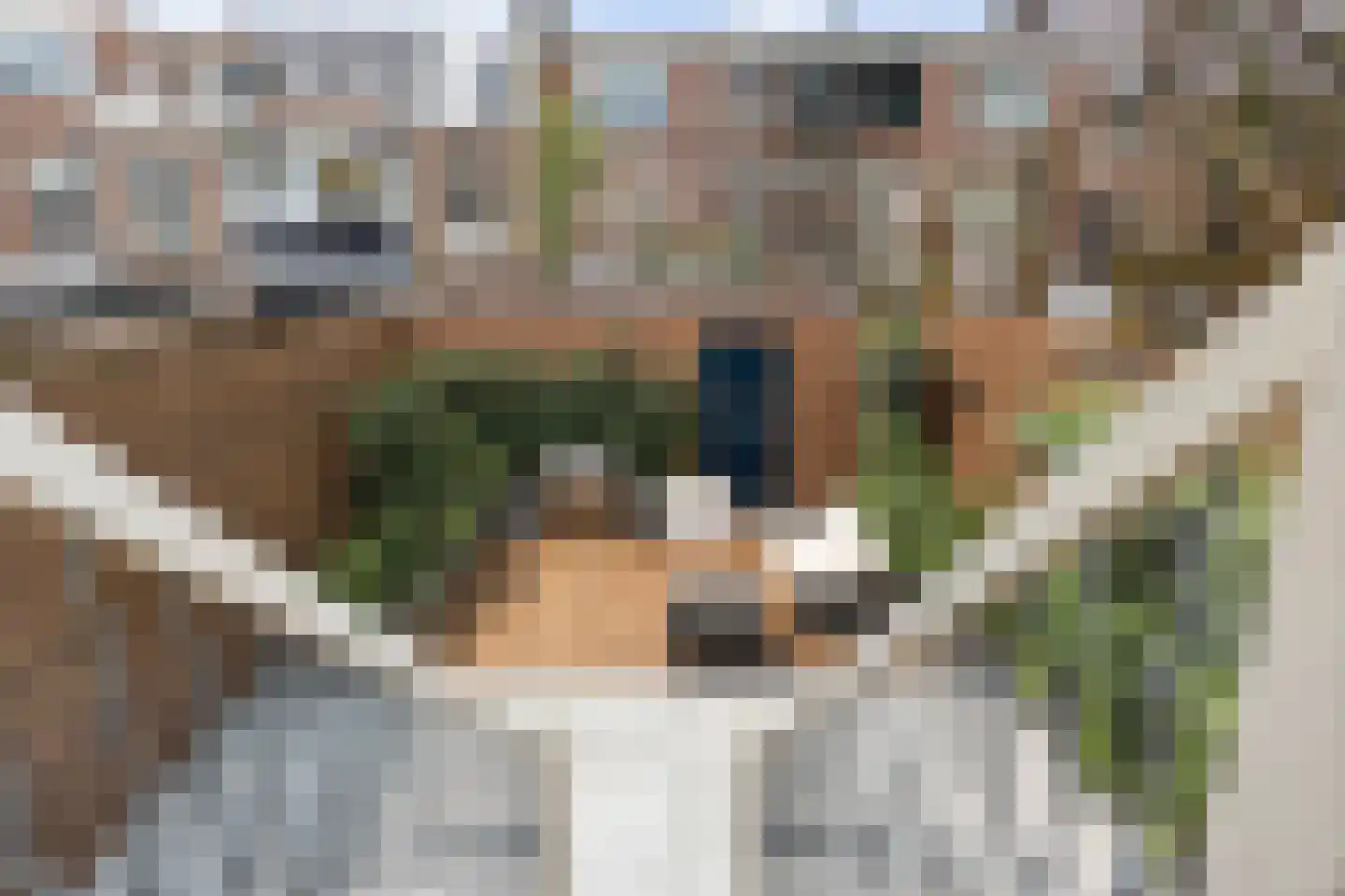 Apeldoornseweg 39 Arnhem thumbnail 4