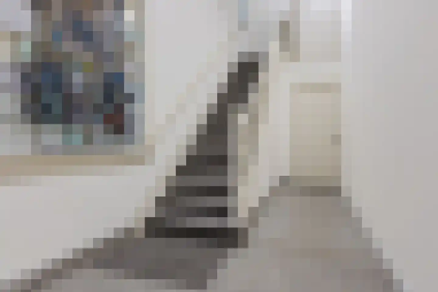 Apeldoornseweg 39 Arnhem thumbnail 46