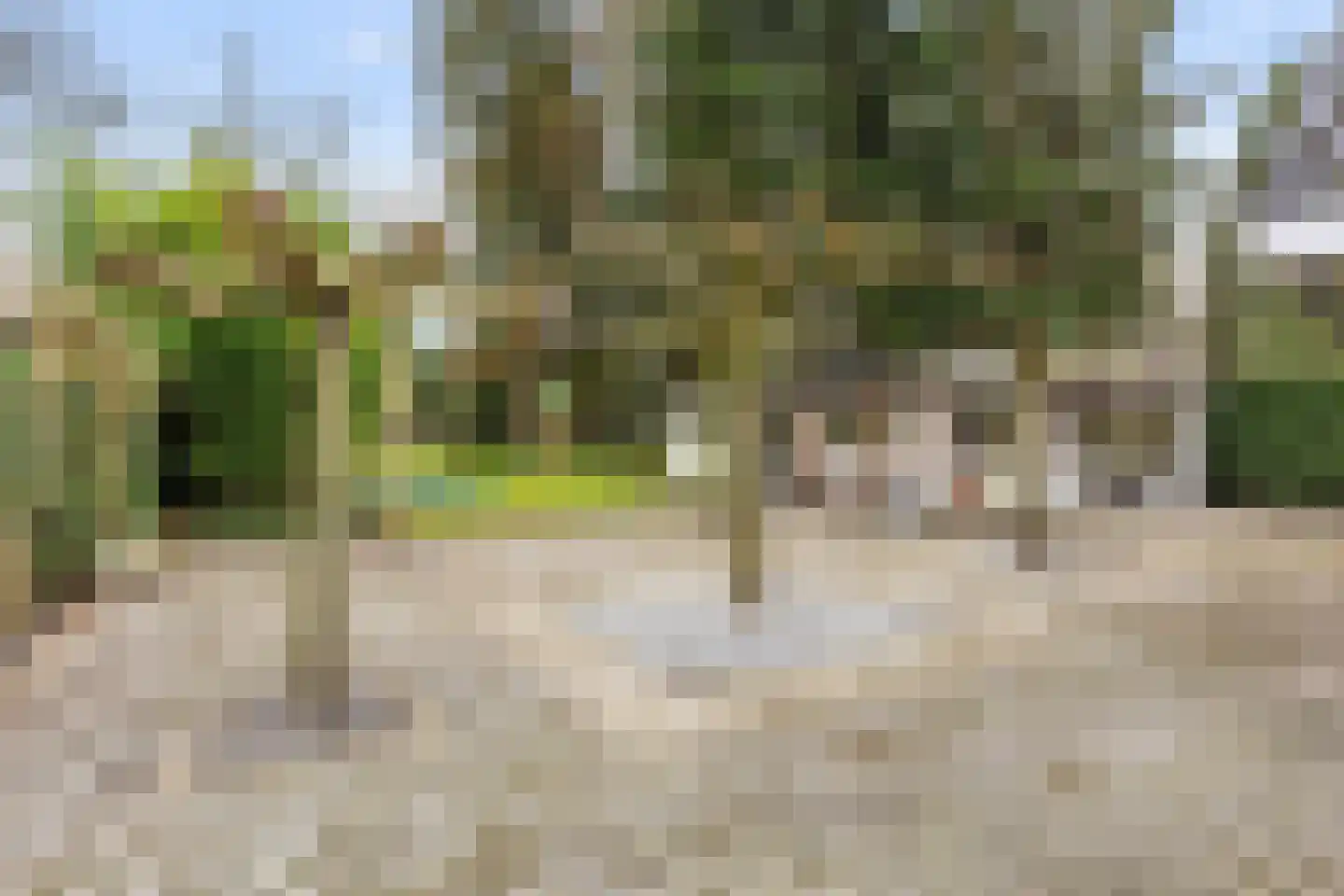 Apeldoornseweg 53 Vaassen thumbnail 50