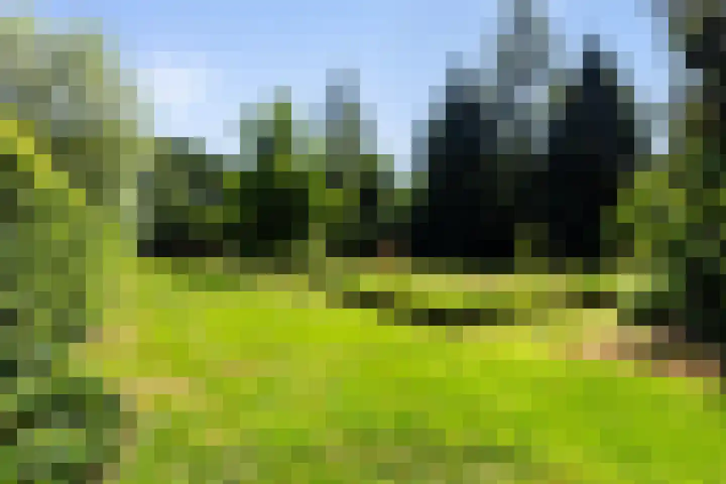 Apeldoornseweg 53 Vaassen thumbnail 50