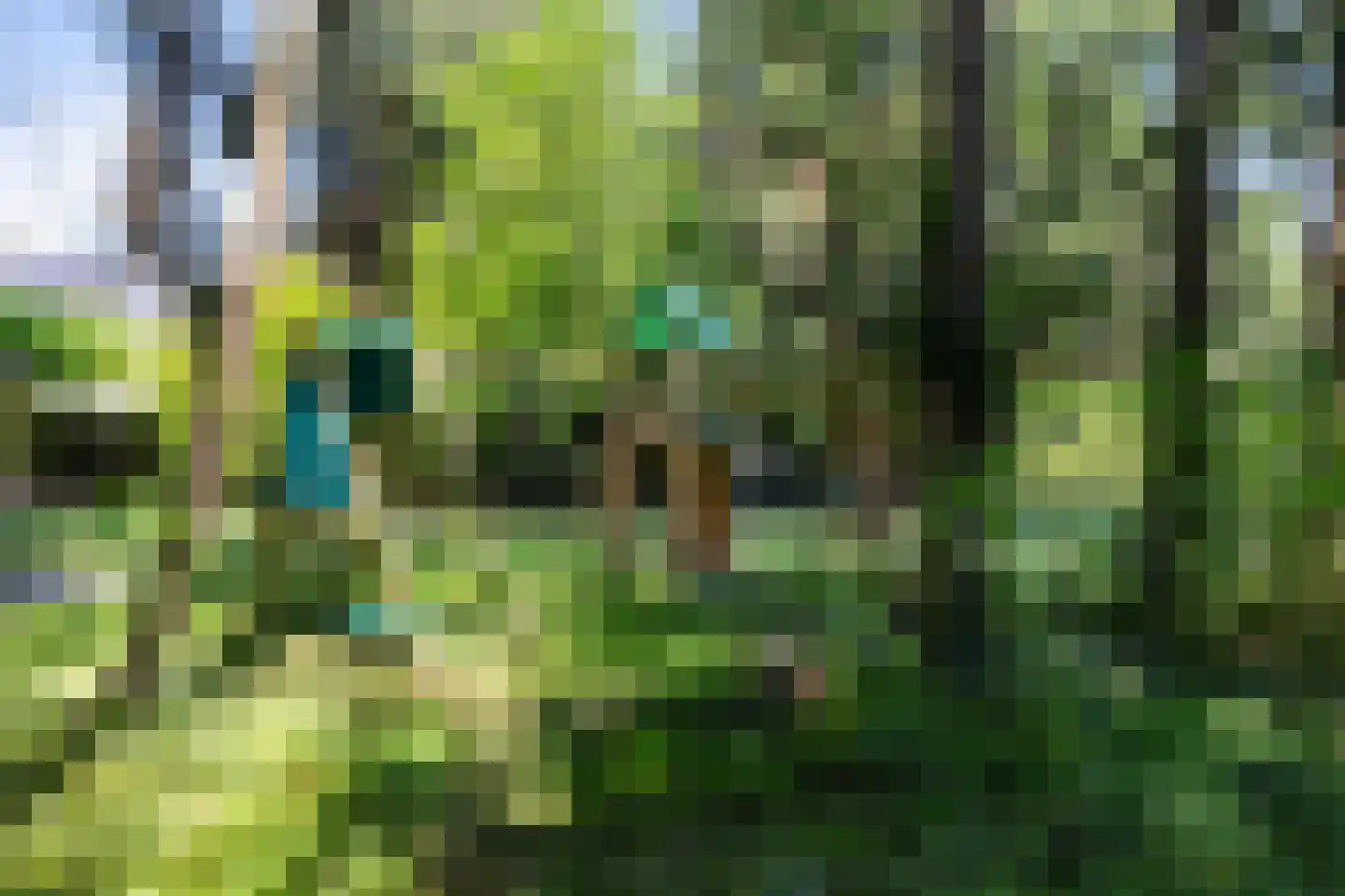 Apeldoornseweg 53 Vaassen thumbnail 51