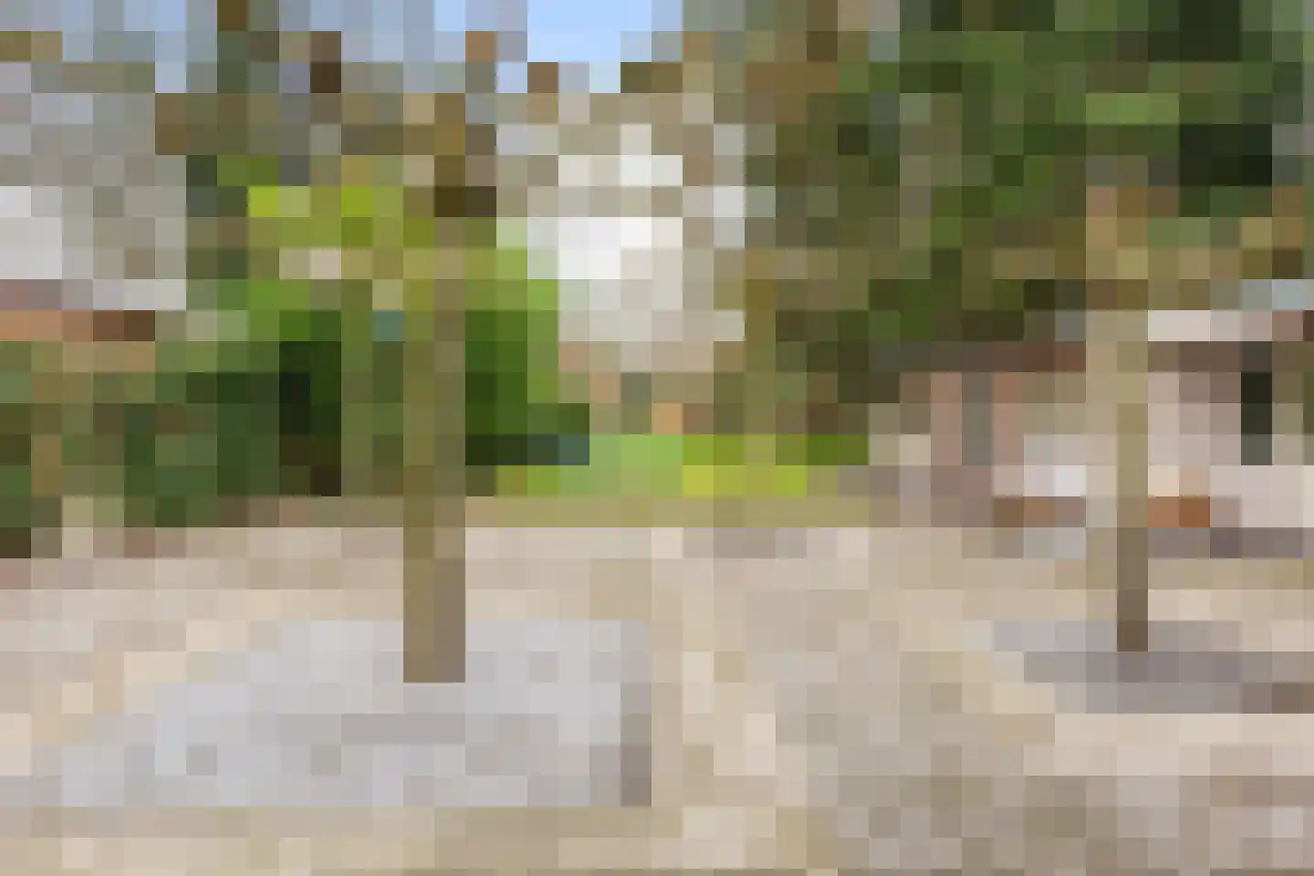 Apeldoornseweg 53 Vaassen thumbnail 51