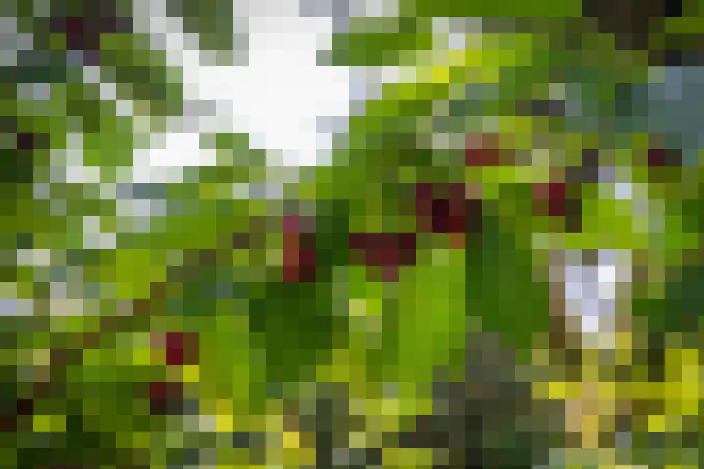 Apeldoornseweg 53 Vaassen thumbnail 52