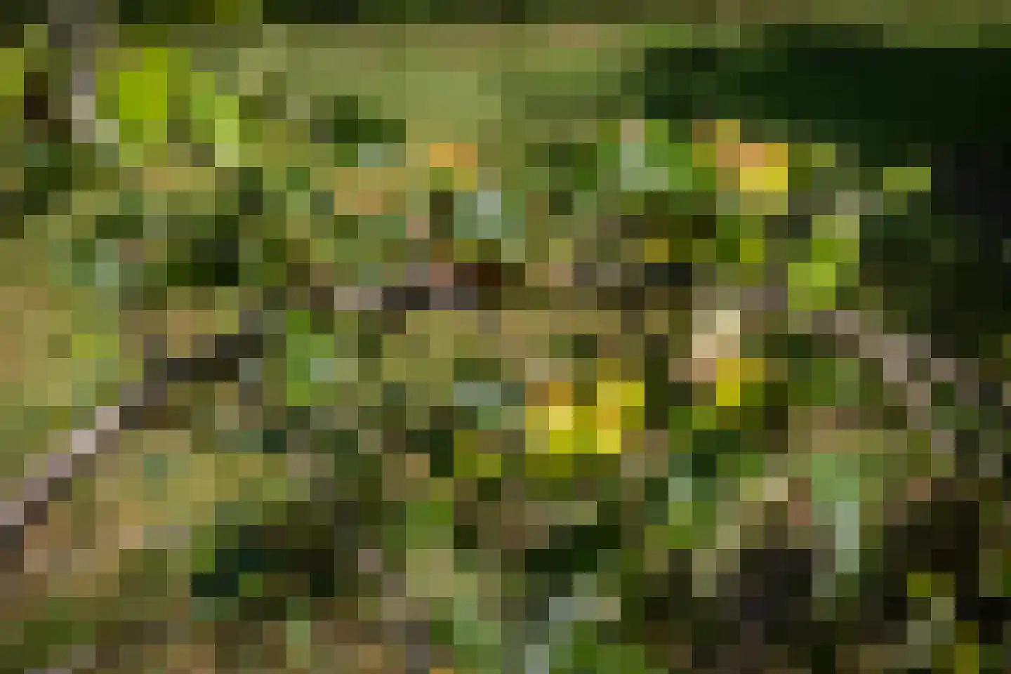 Apeldoornseweg 53 Vaassen thumbnail 53