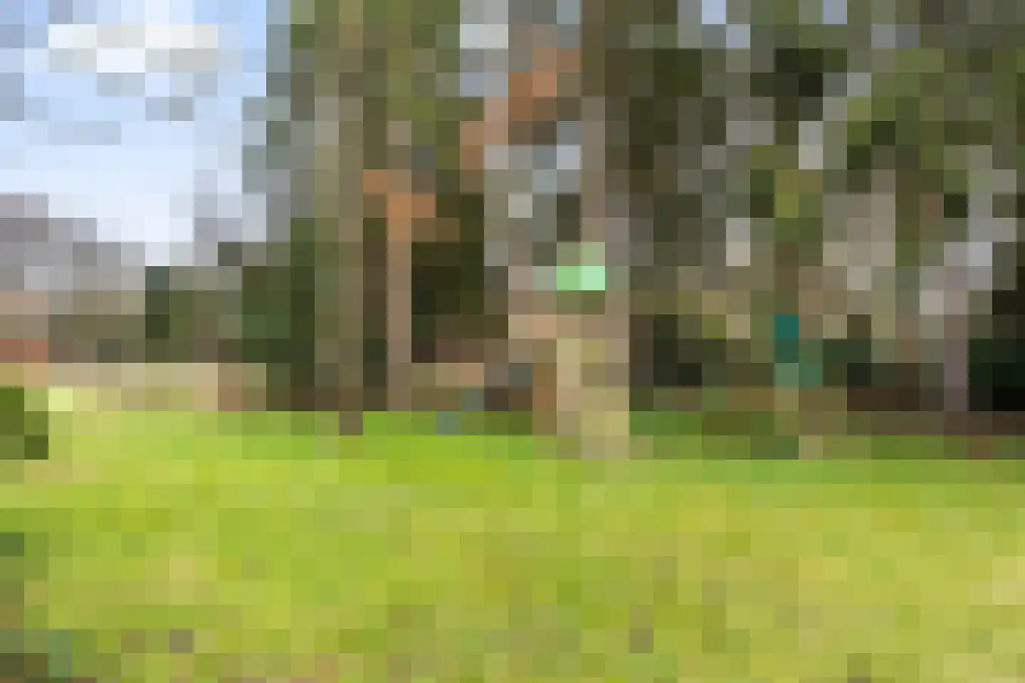 Apeldoornseweg 53 Vaassen thumbnail 53