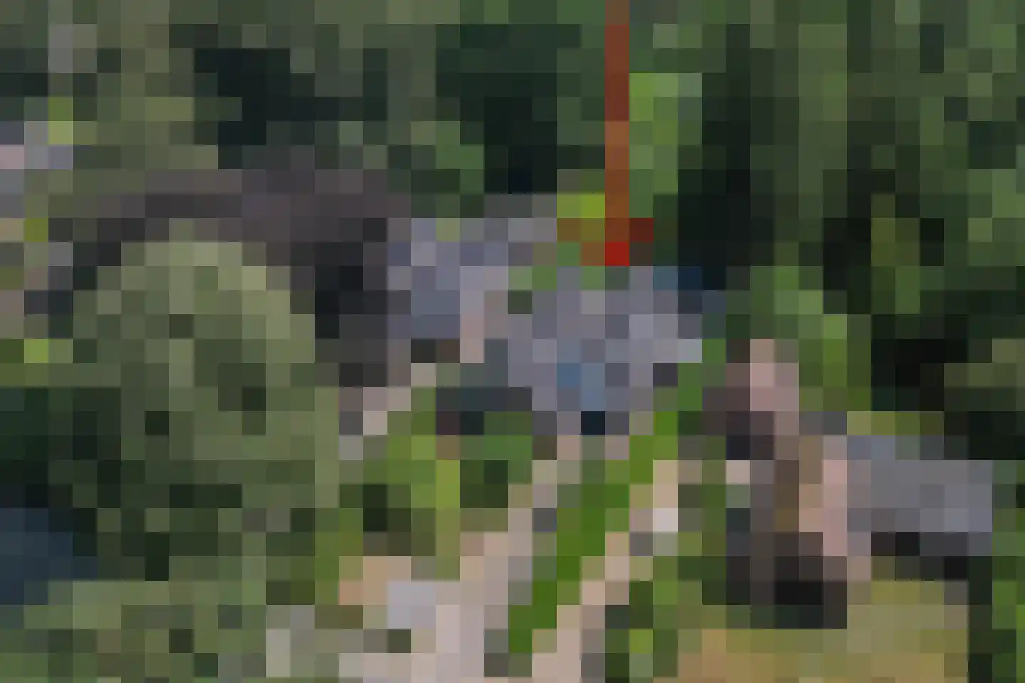 Apeldoornseweg 53 Vaassen thumbnail 54