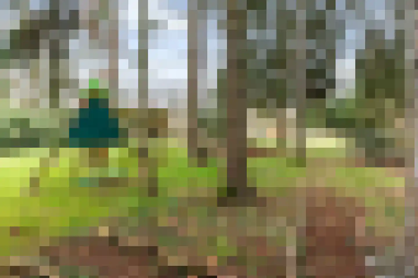 Apeldoornseweg 53 Vaassen thumbnail 54