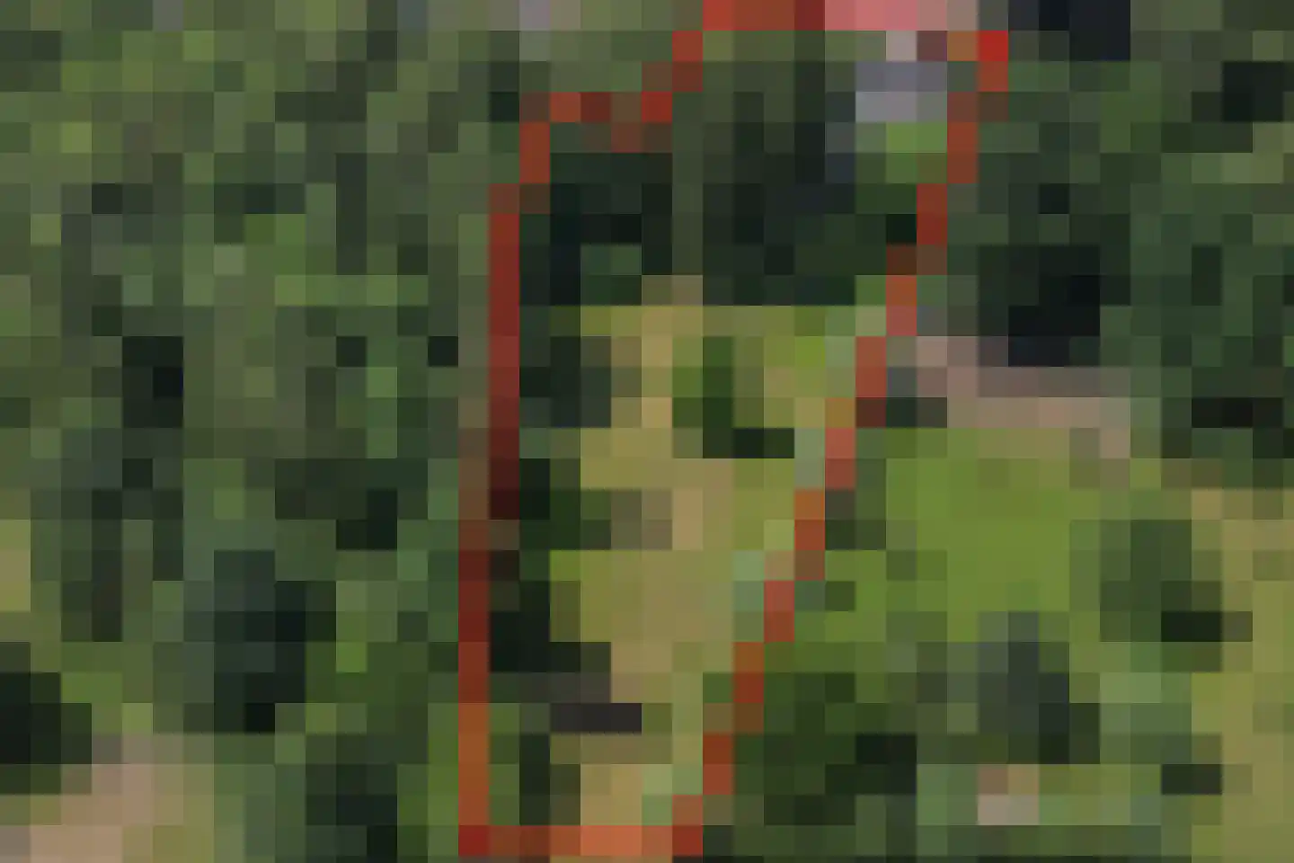 Apeldoornseweg 53 Vaassen thumbnail 55