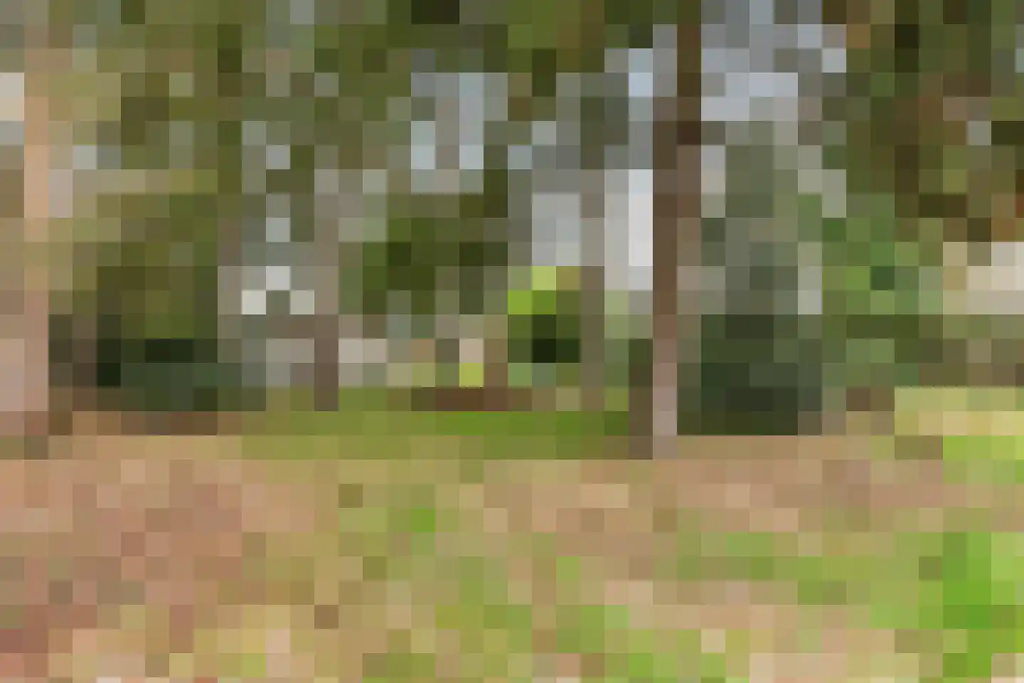 Apeldoornseweg 53 Vaassen thumbnail 56