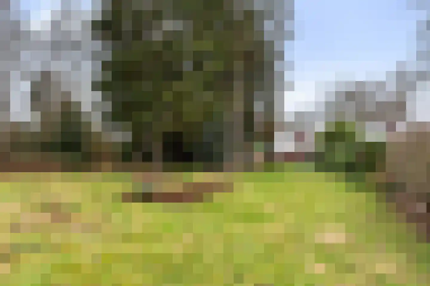 Apeldoornseweg 53 Vaassen thumbnail 59