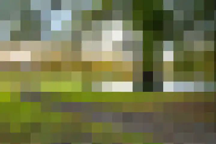 Apeldoornseweg 56 2 Arnhem thumbnail 33