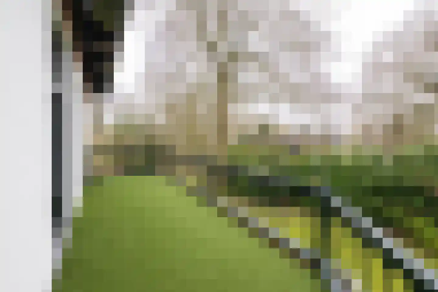 Apeldoornseweg 6 Hattem thumbnail 26