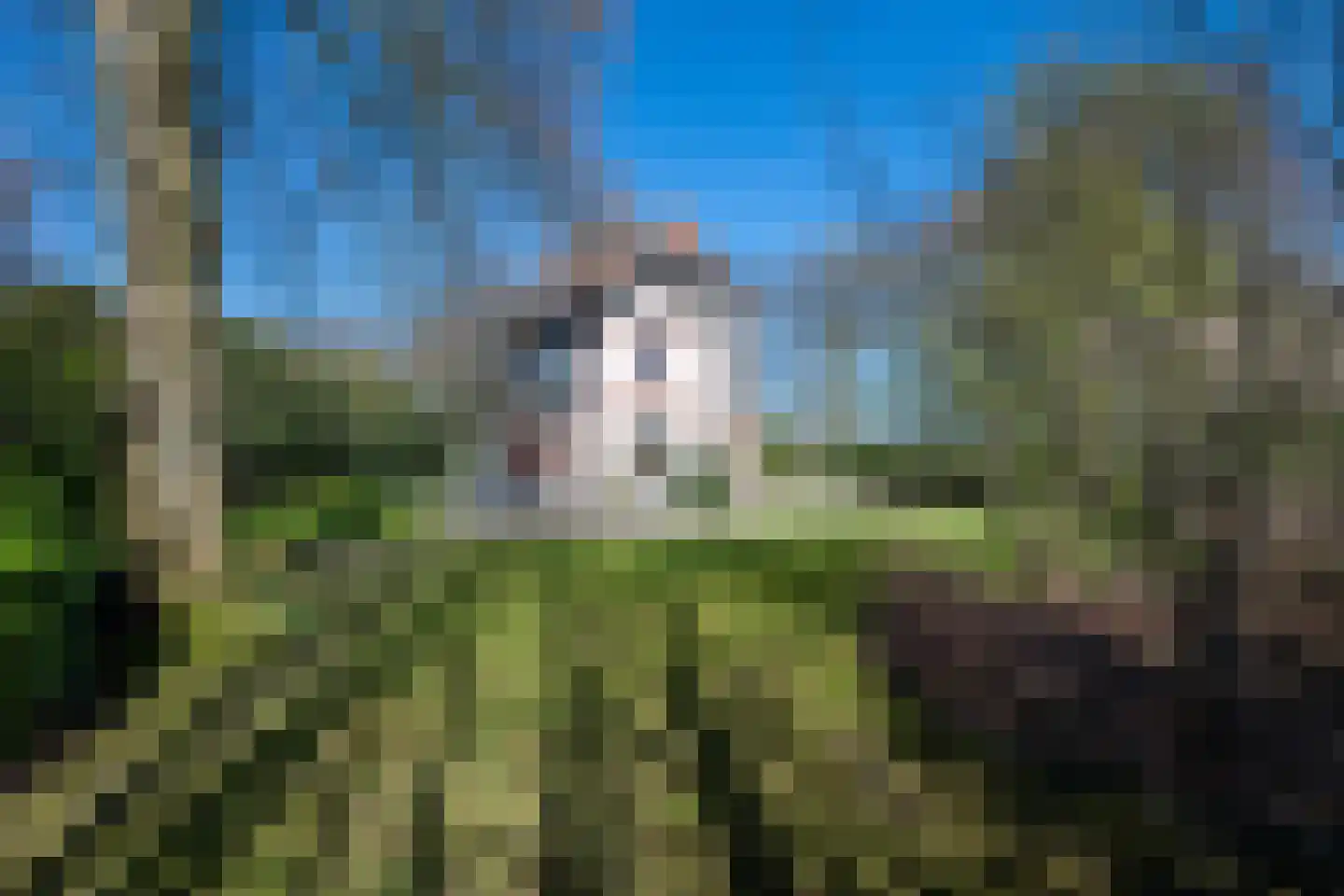 Apeldoornseweg 6 Hattem thumbnail 55