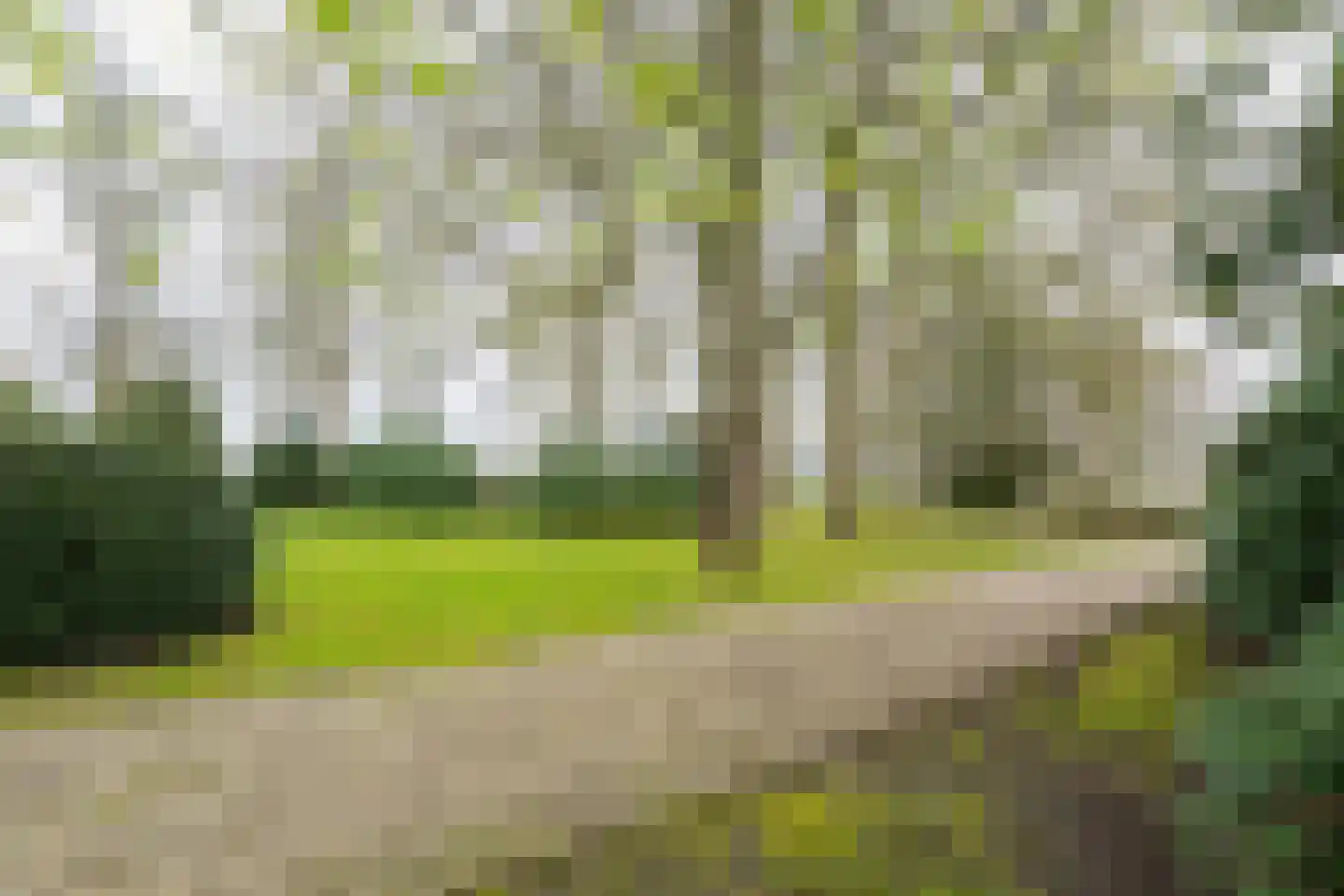 Apeldoornseweg 6 Hattem thumbnail 56