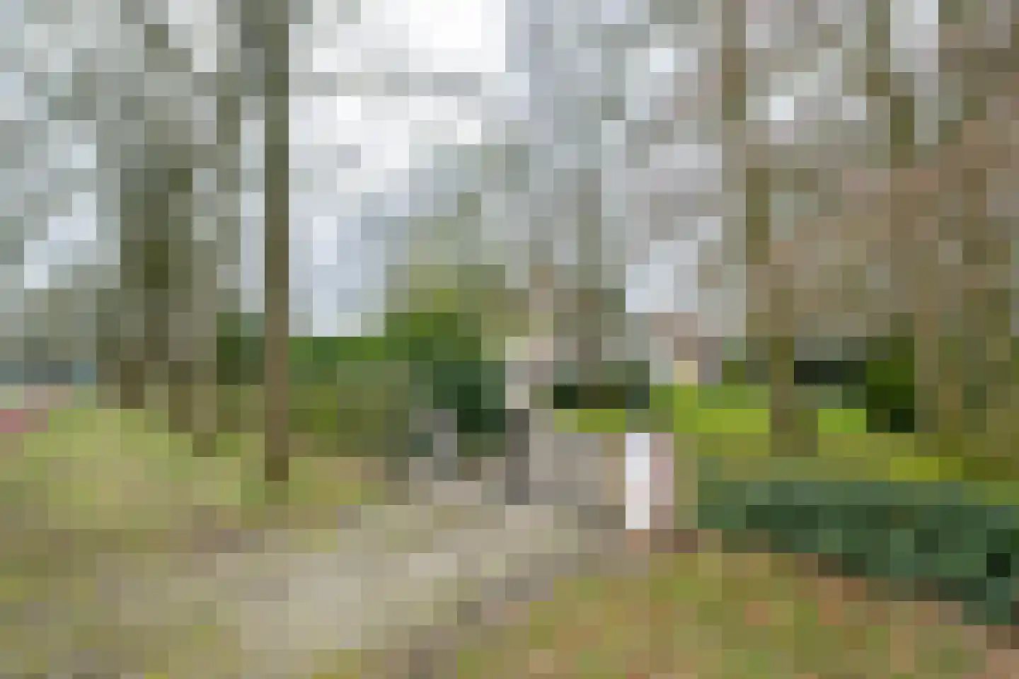 Apeldoornseweg 6 Hattem thumbnail 58