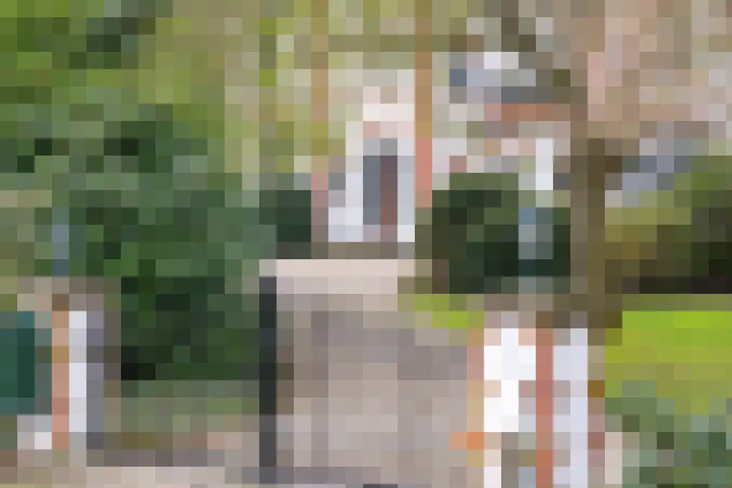 Apeldoornseweg 6 Hattem thumbnail 62