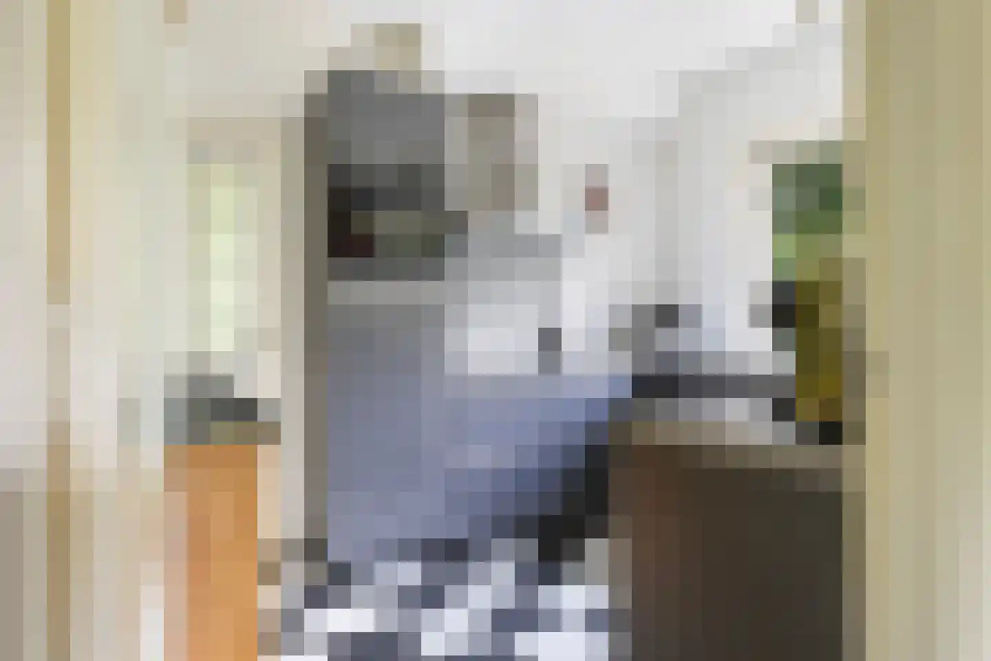 Apeldoornseweg 6 Vaassen thumbnail 13