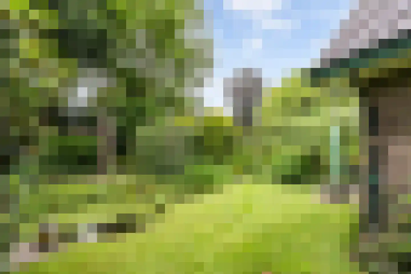 Apeldoornseweg 6 Vaassen thumbnail 30