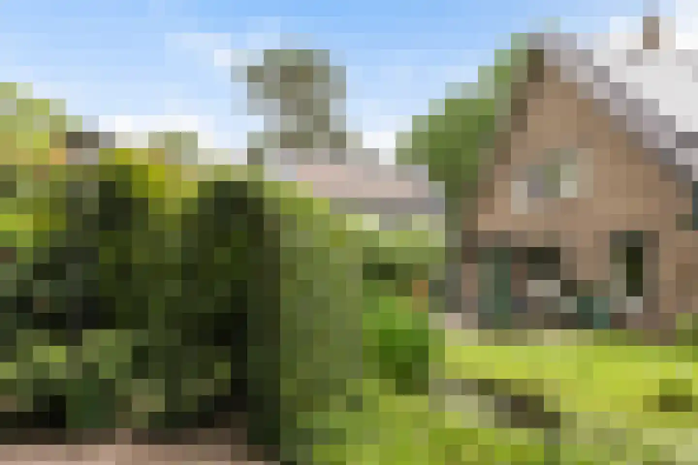 Apeldoornseweg 6 Vaassen thumbnail 31