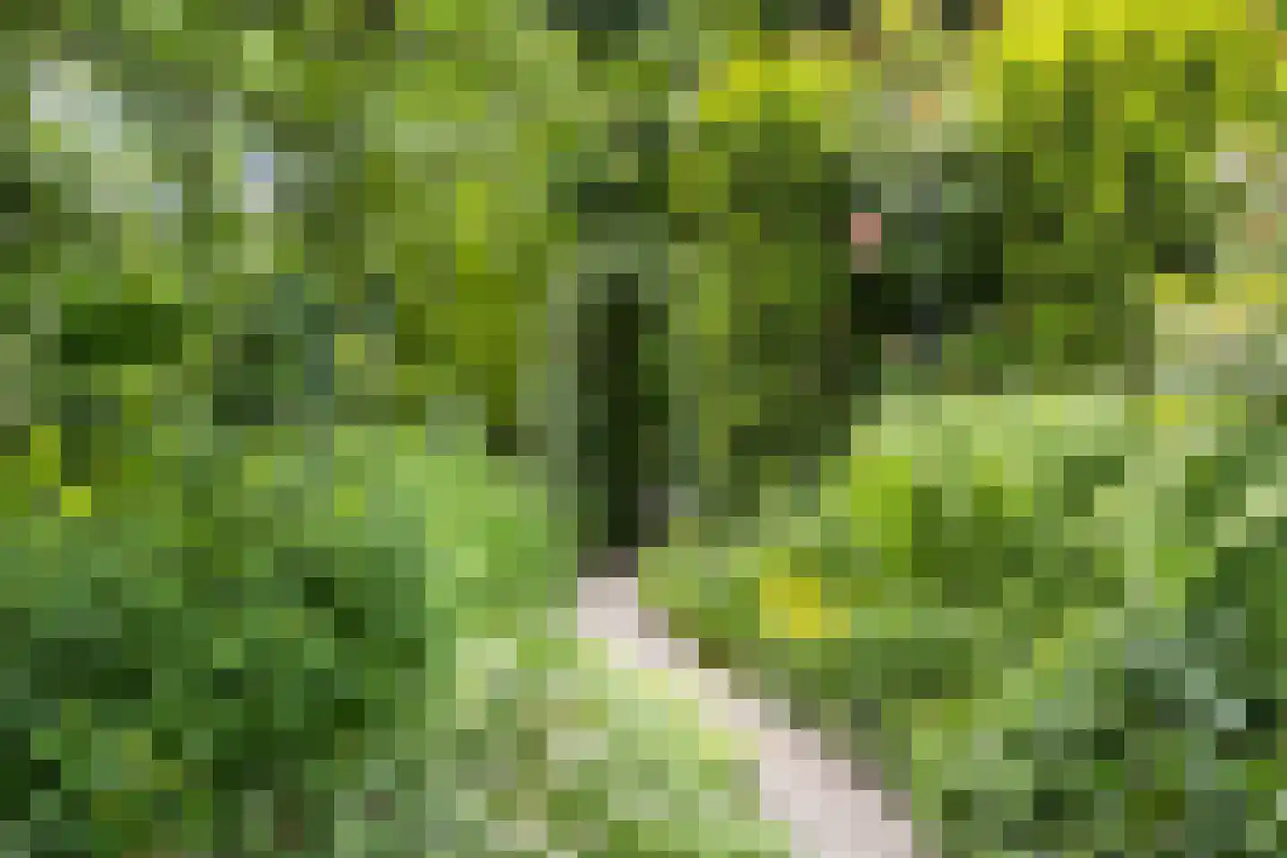 Apeldoornseweg 6 Vaassen thumbnail 33
