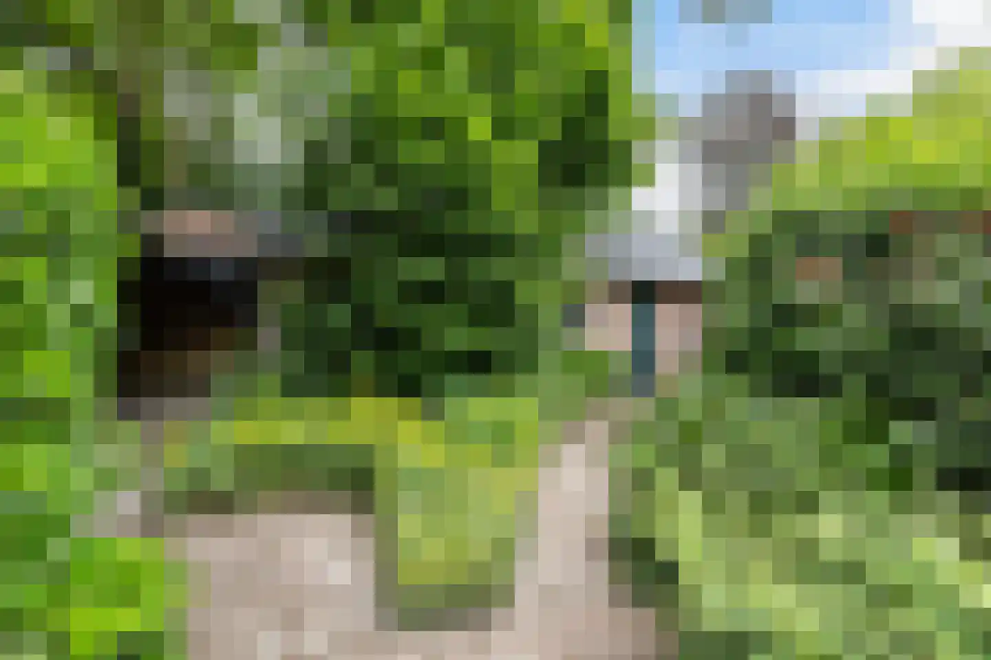 Apeldoornseweg 6 Vaassen thumbnail 34