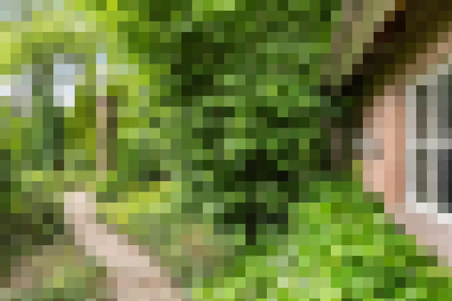 Apeldoornseweg 6 Vaassen thumbnail 35