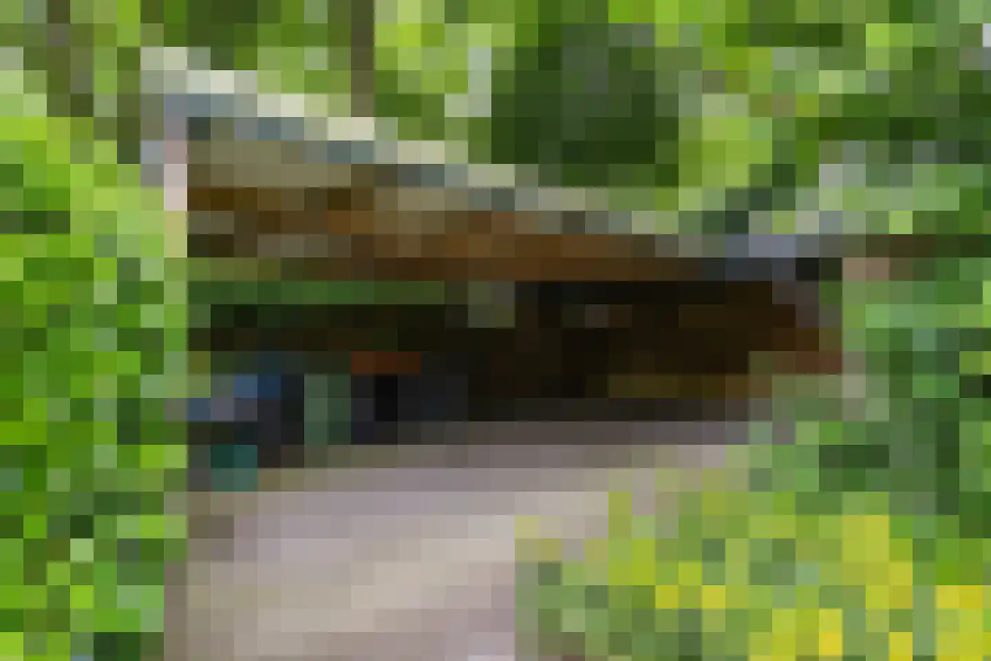 Apeldoornseweg 6 Vaassen thumbnail 36