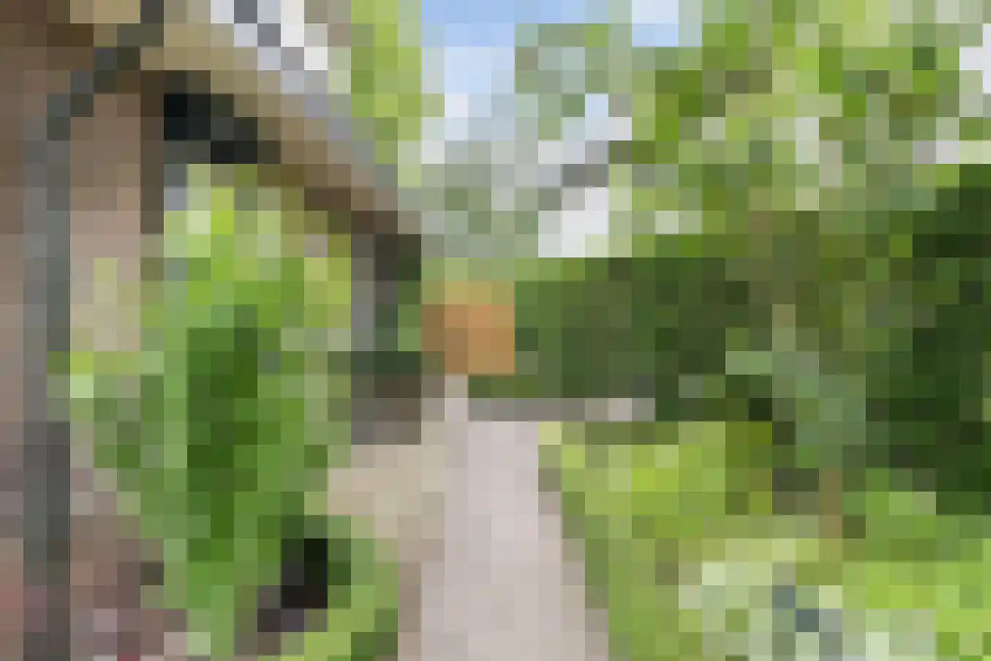 Apeldoornseweg 6 Vaassen thumbnail 4
