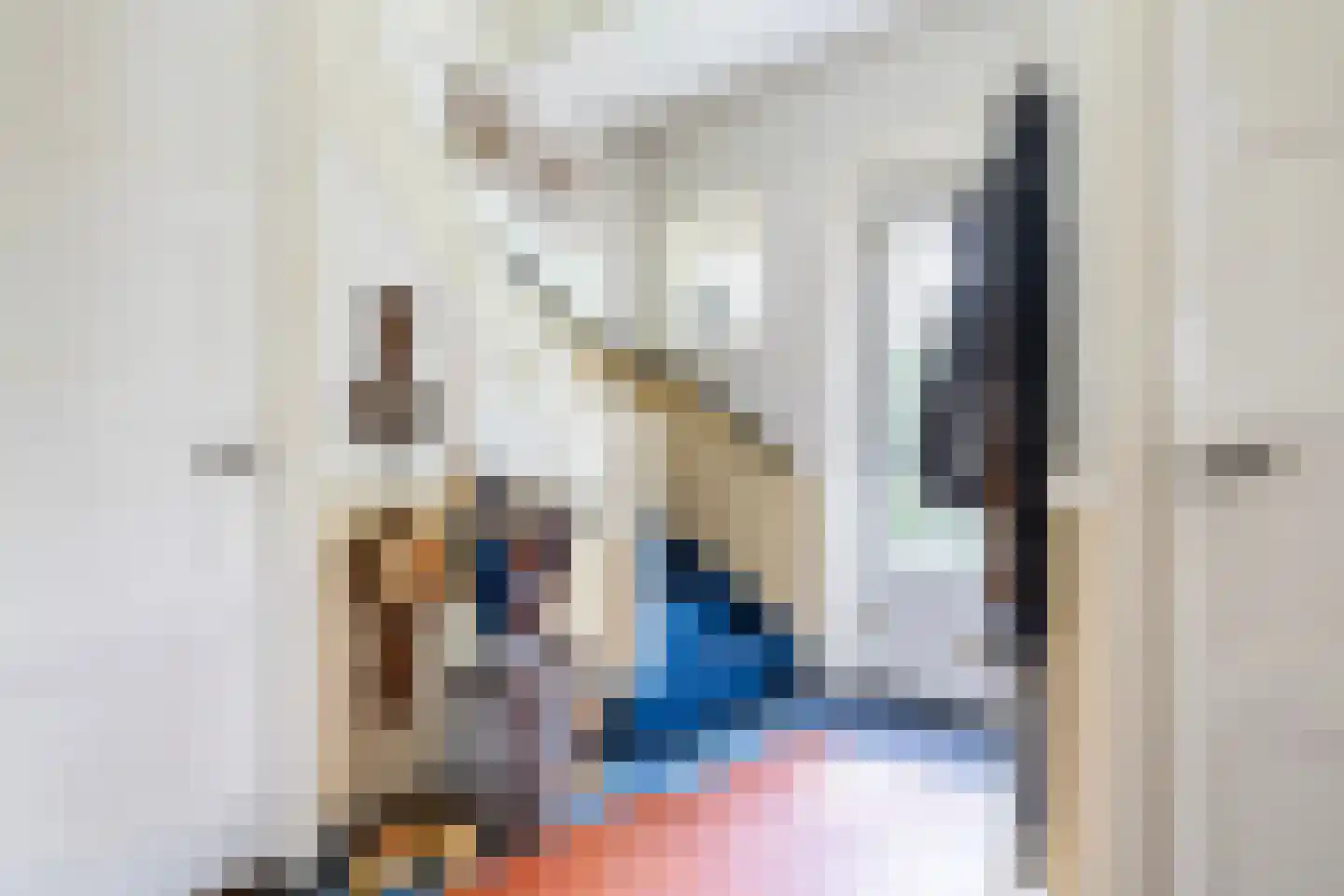 Apeldoornseweg 6 Vaassen thumbnail 5