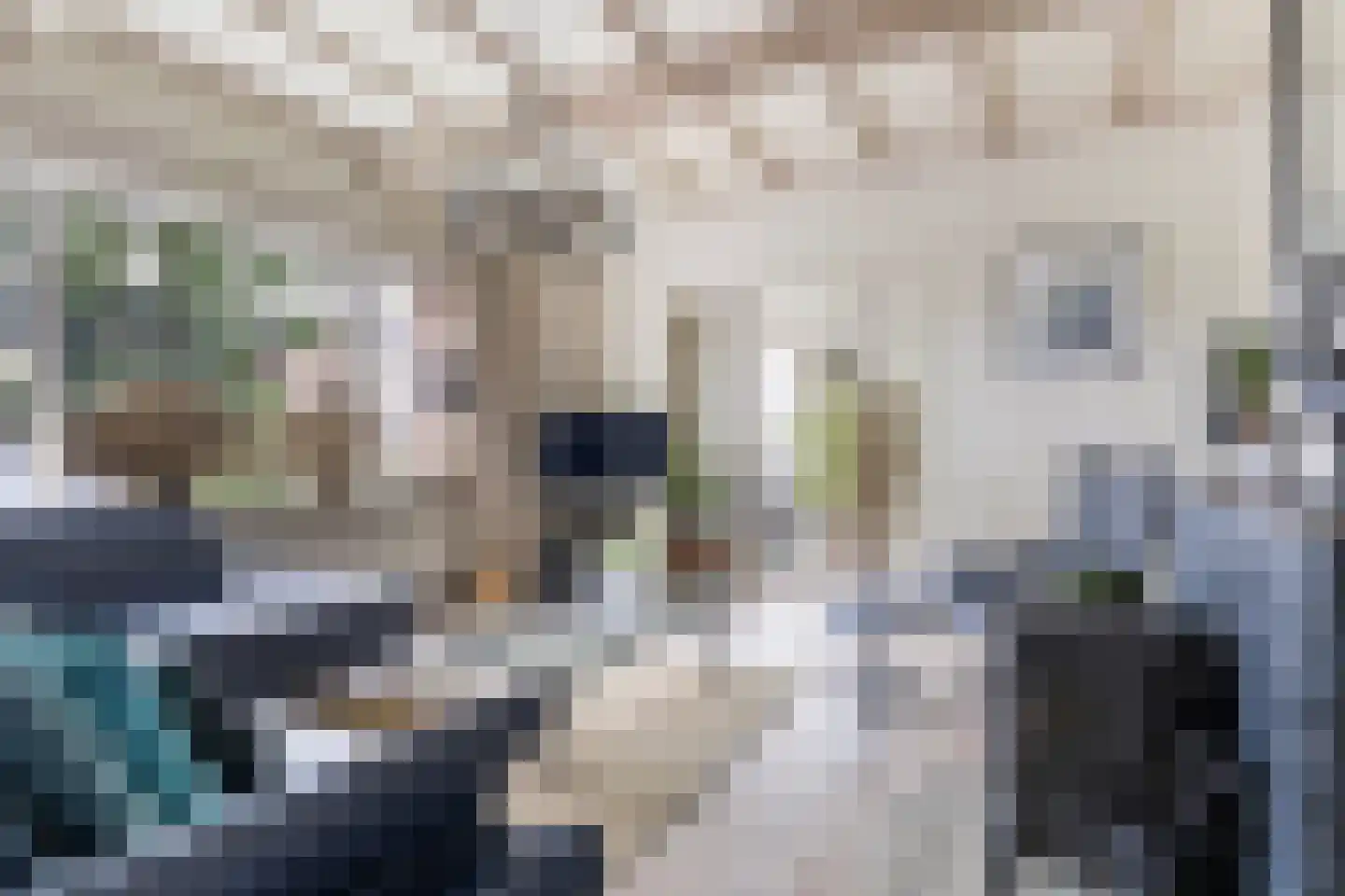 Apeldoornseweg 6 Vaassen thumbnail 6