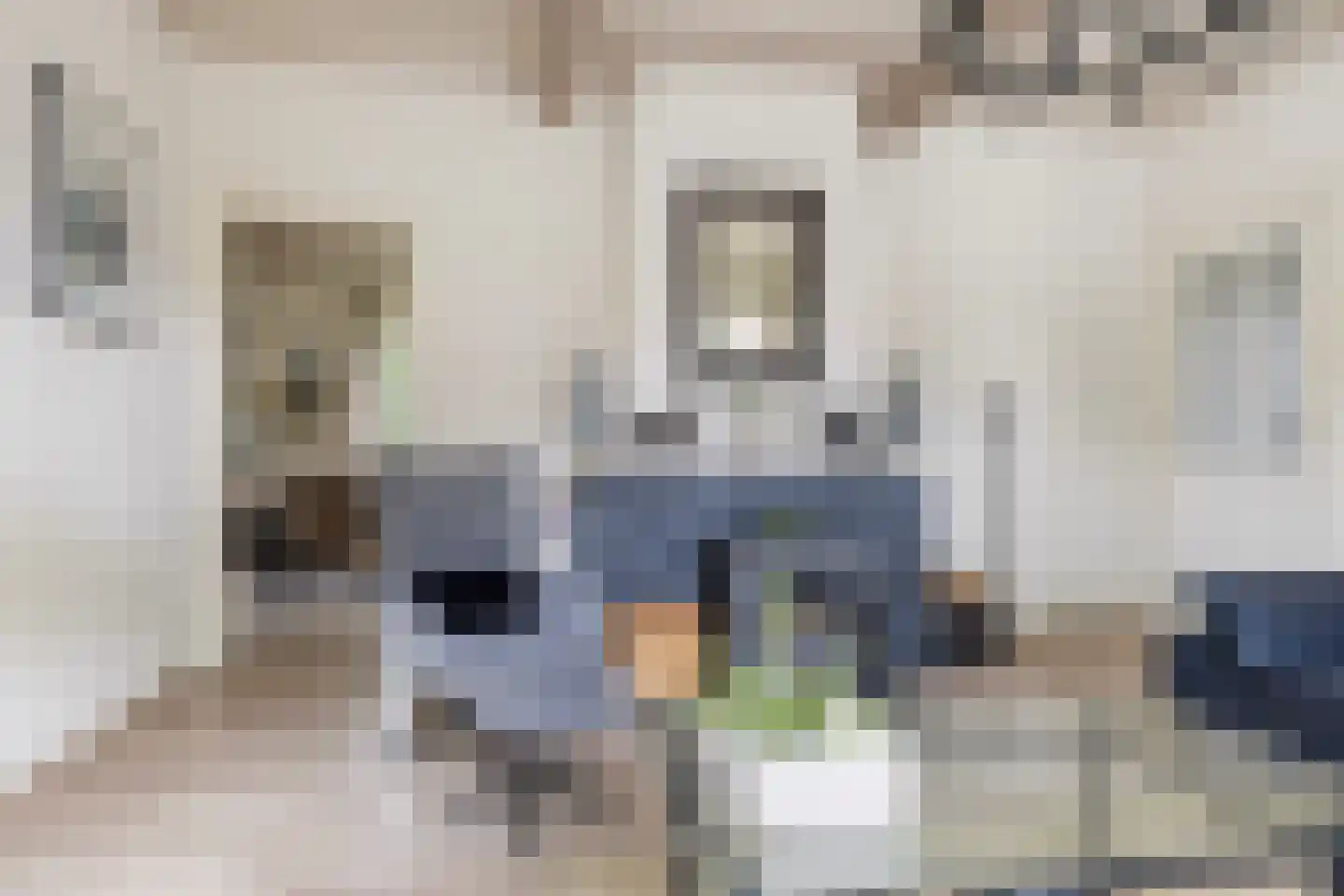 Apeldoornseweg 6 Vaassen thumbnail 8