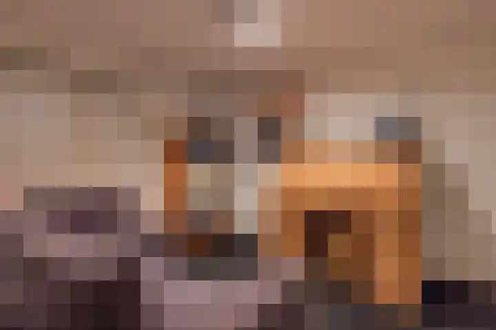 Apeldoornseweg 64 Arnhem thumbnail 33