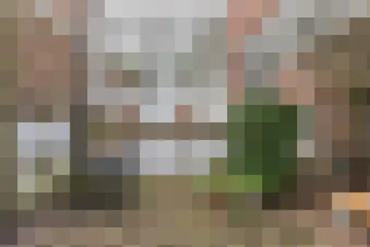 Apeldoornseweg 64 Arnhem thumbnail 37