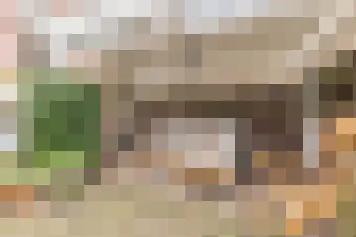Apeldoornseweg 64 Arnhem thumbnail 39